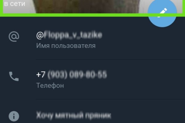 Kraken tor link