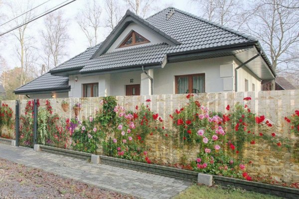 Что продают в кракен маркете