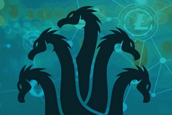 Kraken 20at