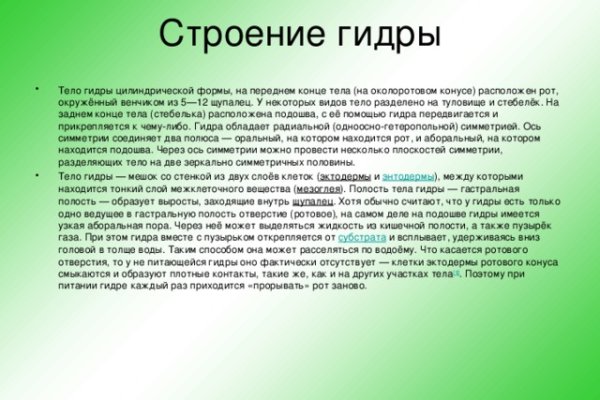 Kraken ссылка kraken torion