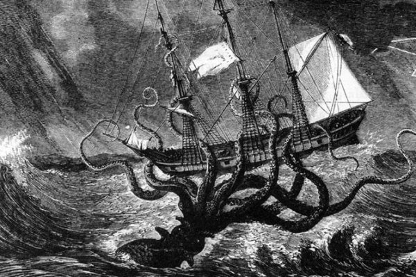 Kraken forum