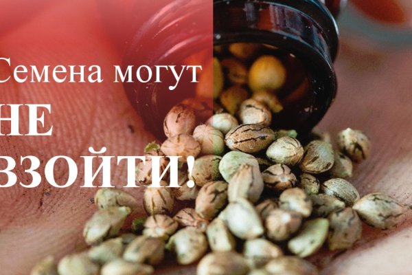 Можно ли зайти на кракен через обычный браузер