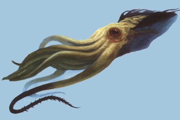 Kra44.at