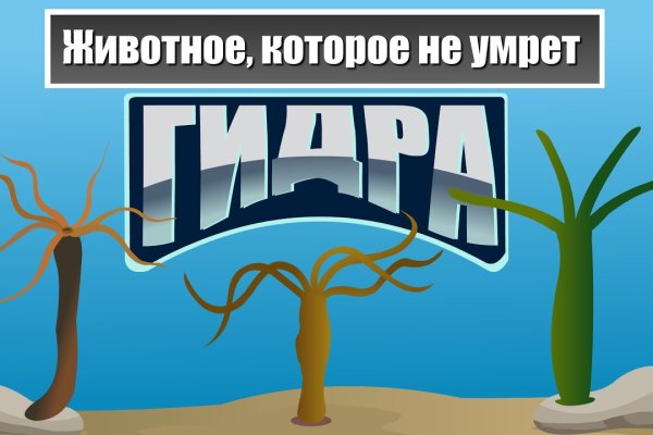 Кракен даркнет только через торг