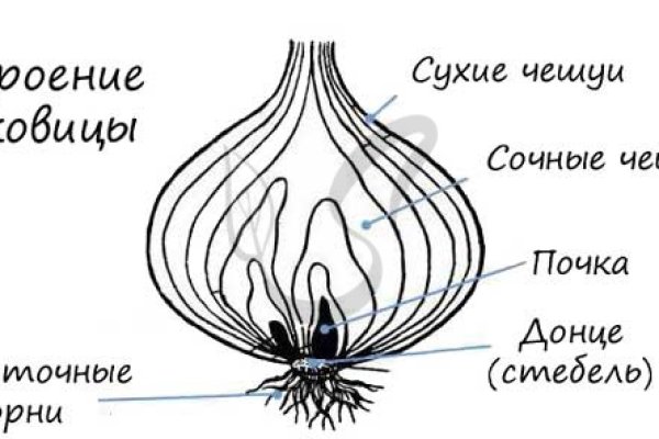 Кракен современный даркнет