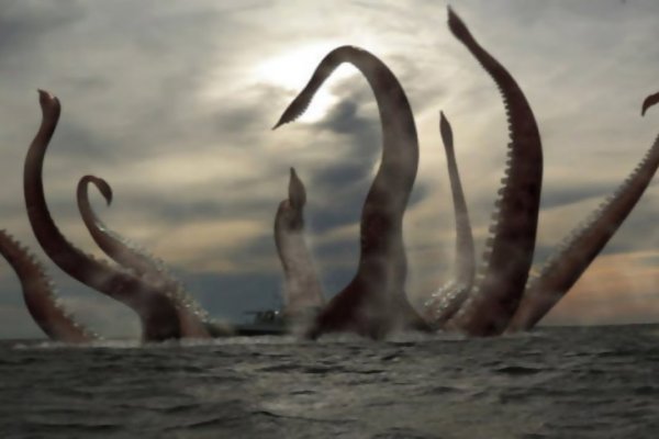 Kraken 20at net