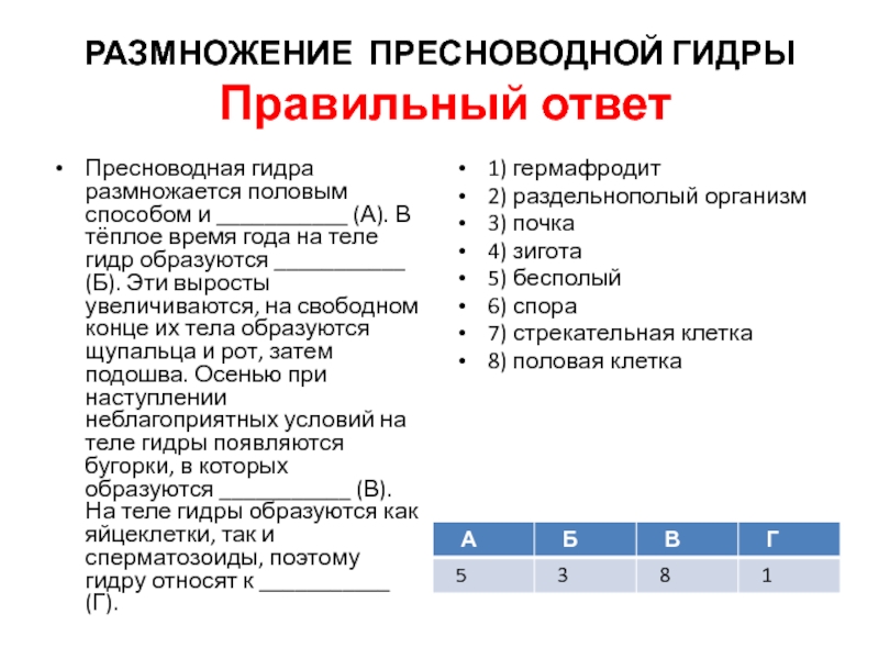 Как зарегаться на кракене